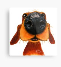 NOSEY DOG 'NOSEY NANDO' BY SHIRLEY MACARTHUR Metal Print