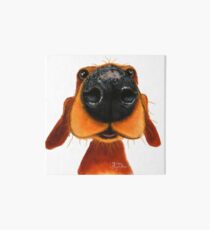 NOSIGER HUND 'NOSY NANDO' VON SHIRLEY MACARTHUR Galeriedruck