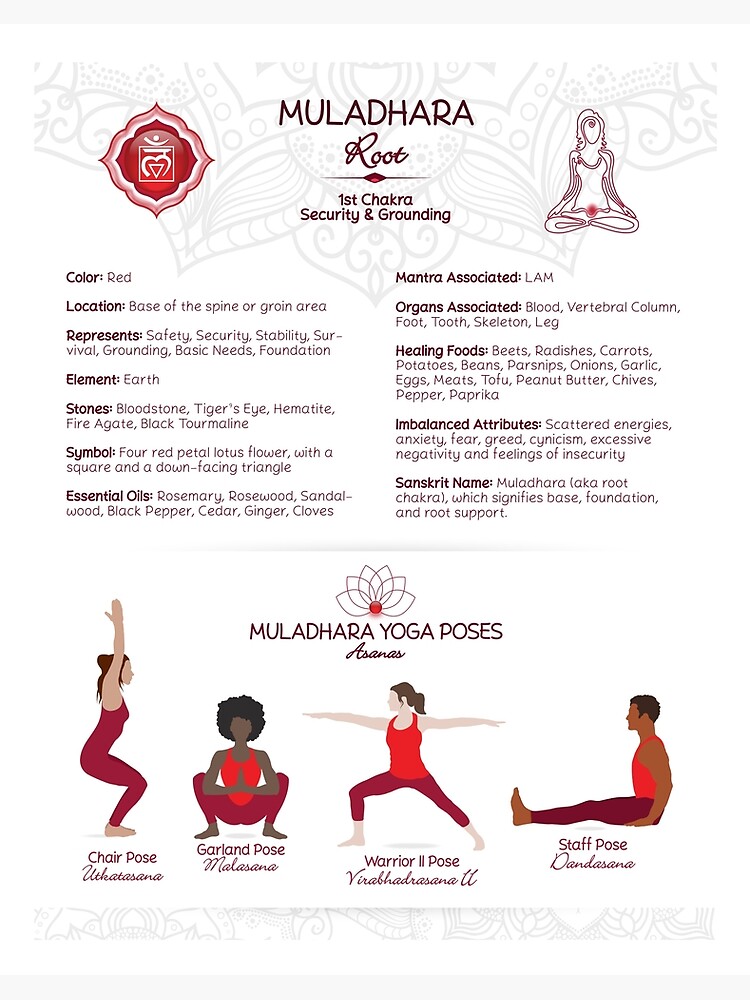 Yoga Asanas (Poses) Root Chakra Chart - 75 WBG-P Art Board Print for Sale  by chakraplaza