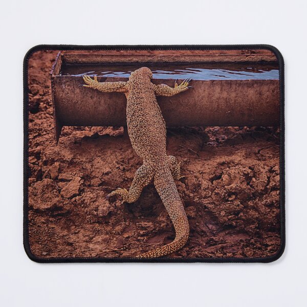 Item preview, Goanna designed and sold by andreisky.