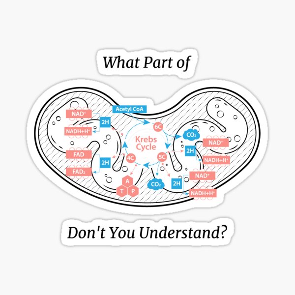 "What Part of (Krebs Cycle) Don't You Understand?" Sticker for Sale by