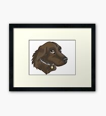 Chocolate Lab Framed Print