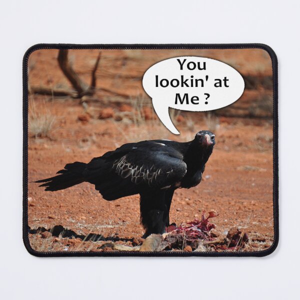 Item preview, You Looking At Me, Australia 20190910 designed and sold by muz2142.