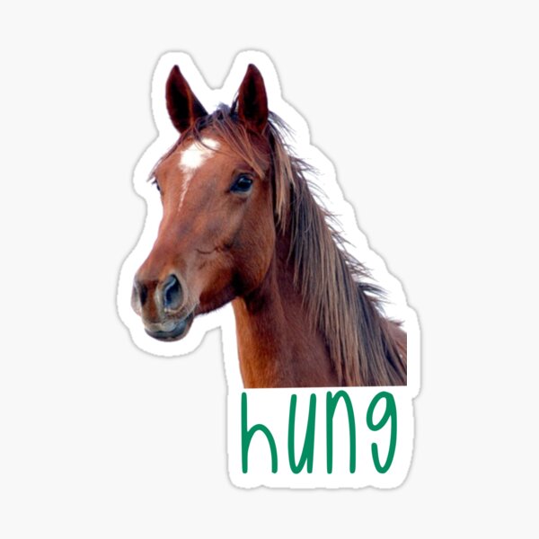 &ldquo;Hung - like a horse&rdquo; Sticker for Sale by Haiii-Designs | Redbubble