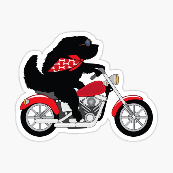 Just a Newfie Riding a Motorcycle Sticker