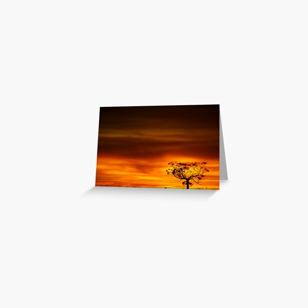 The Wait Of The World Greeting Card