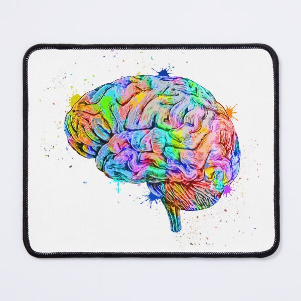 Item preview, Human Brain Anatomy : Colorful anatomical Brain in Watercolor and ink canva designed and sold by HA Design.