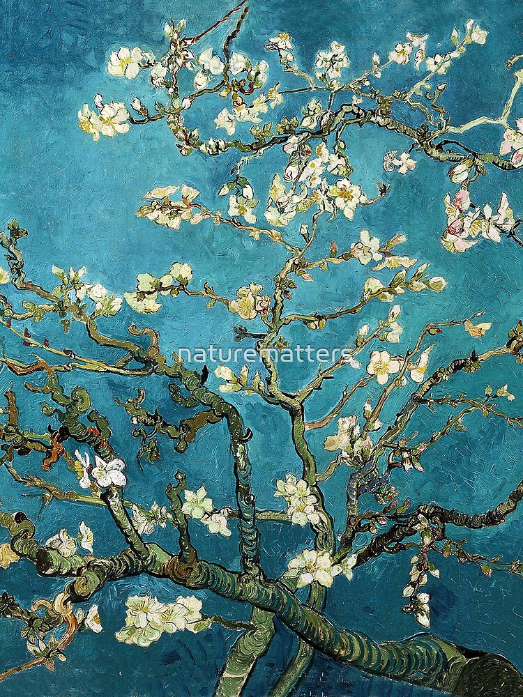 Blossoming Almond Tree, famous art by Vincent van Gogh. by naturematters