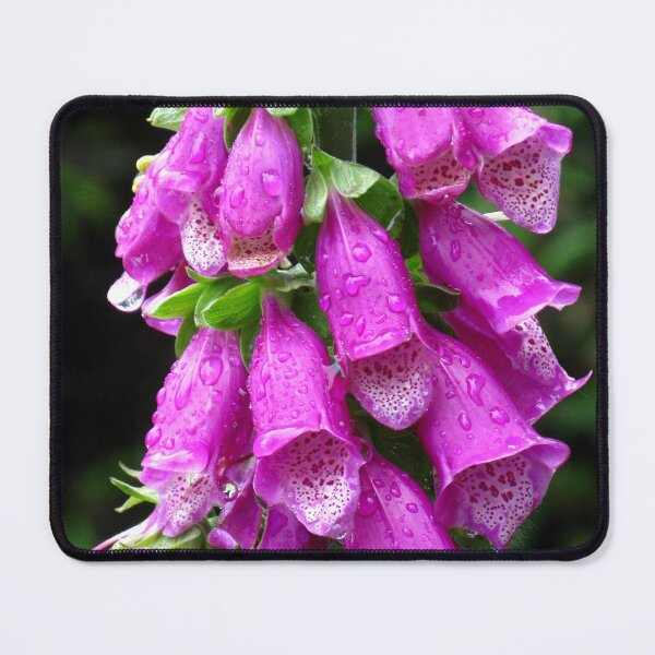 Item preview, Purple Foxglove (Digitalis purpurea) designed and sold by Marilyn Harris.