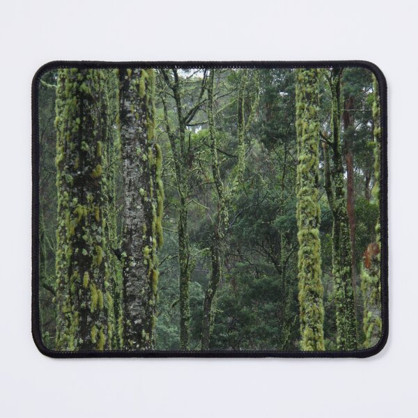 Item preview, Moss covered Myrtle Beech - The Blue Tier, Tasmania. designed and sold by Marilyn Harris.