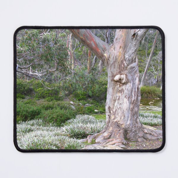Item preview, Snow Gum amongst Alpine Grass - Tasmania. designed and sold by Marilyn Harris.