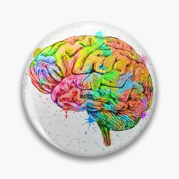 Item preview, Human Brain Anatomy : Colorful anatomical Brain in Watercolor and ink canva designed and sold by HA  Design.