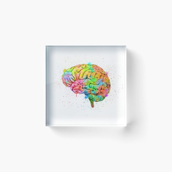 Item preview, Human Brain Anatomy : Colorful anatomical Brain in Watercolor and ink canva designed and sold by HA  Design.
