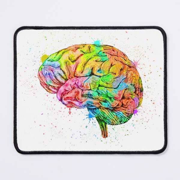 Item preview, Human Brain Anatomy : Colorful anatomical Brain in Watercolor and ink canva designed and sold by HA  Design.