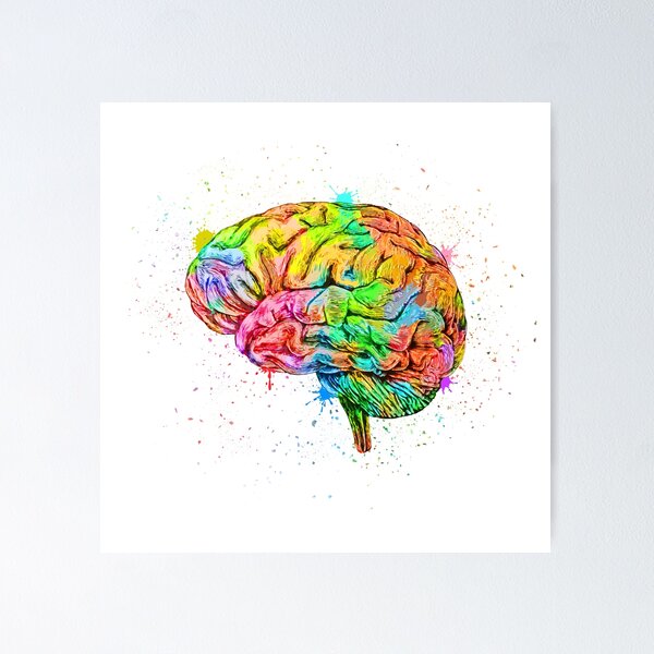 Item preview, Human Brain Anatomy : Colorful anatomical Brain in Watercolor and ink canva designed and sold by HA  Design.
