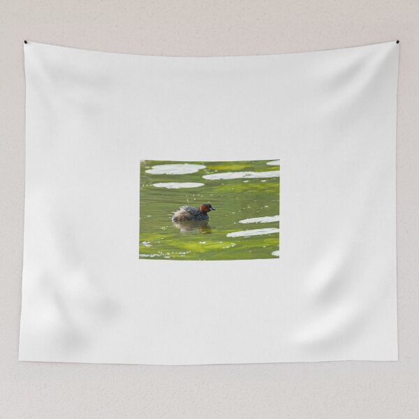Item preview, Little Grebe in Breeding Plumage designed and sold by Sue Robinson.