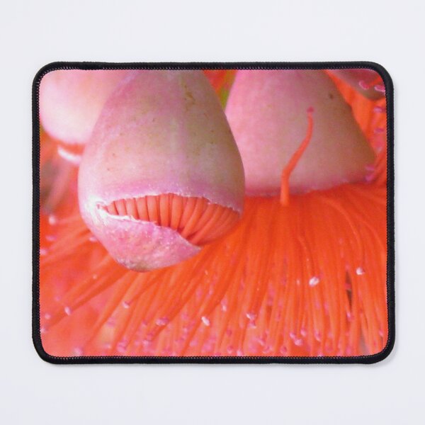 Item preview, Gum Nut Ballet designed and sold by Marilyn Harris.