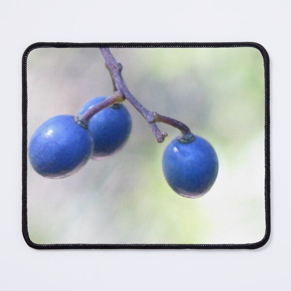 Item preview, Three Blue Berries designed and sold by Marilyn Harris.