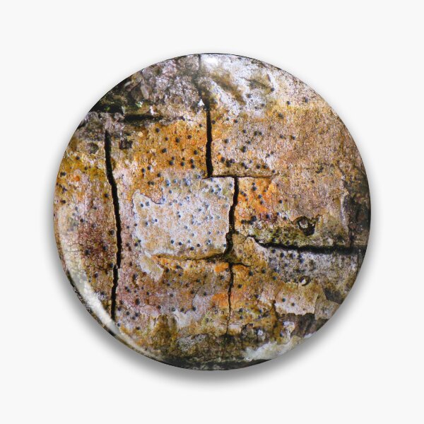 Item preview, Split Enz - Nature's Abstract designed and sold by Marilyn Harris.