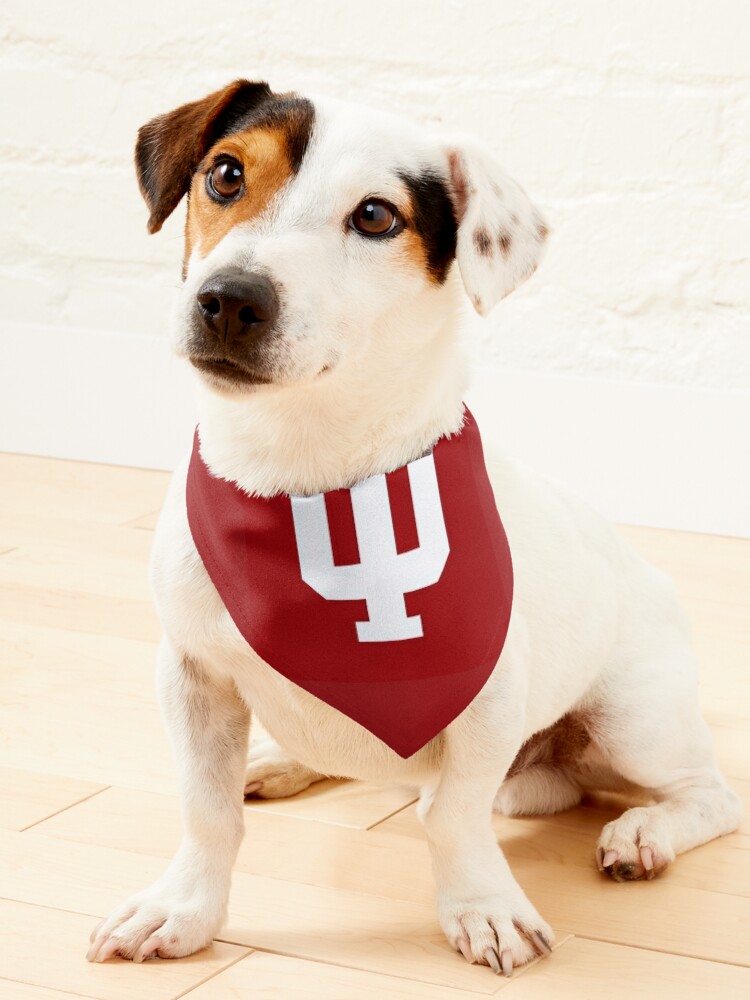 Indiana Hoosiers Pet Jersey