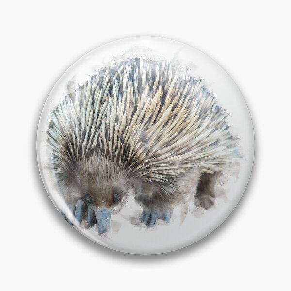 Item preview, Echidna Watercolour Artwork designed and sold by Typeglyphs.