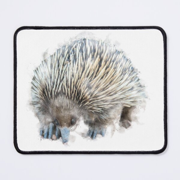 Item preview, Echidna Watercolour Artwork designed and sold by Typeglyphs.
