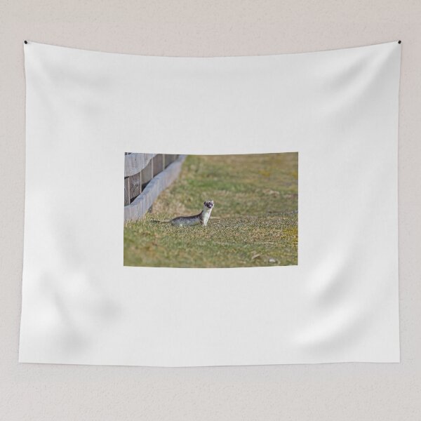 Item preview, Stoat Watching by Roadside designed and sold by Sue Robinson.