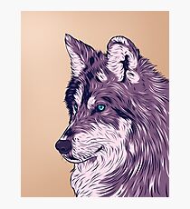 Blue eyed wolf Photographic Print