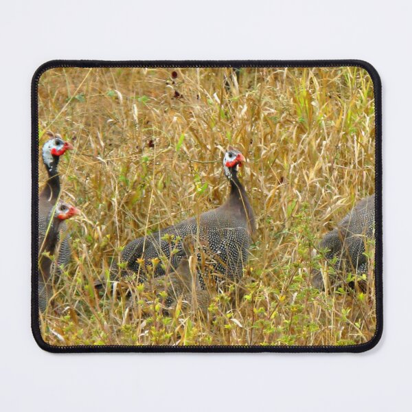 Item preview, Helmeted Guineafowl - Outback Queensland, Australia. designed and sold by Marilyn Harris.