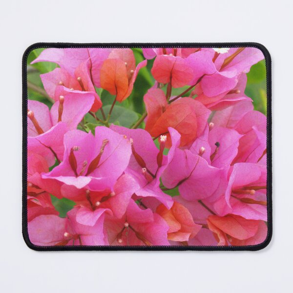Item preview, Pink Bougainvillea designed and sold by Marilyn Harris.