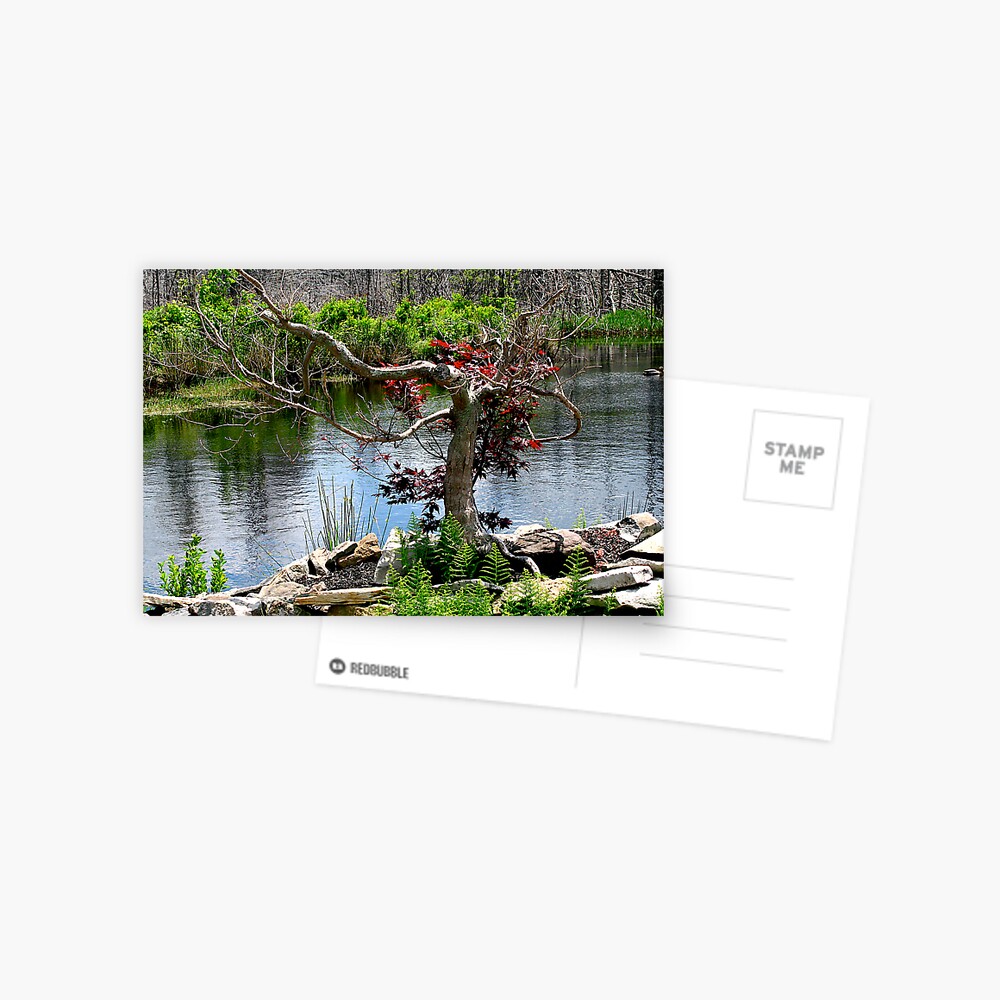 Item preview, Postcard designed and sold by alvinsan9.