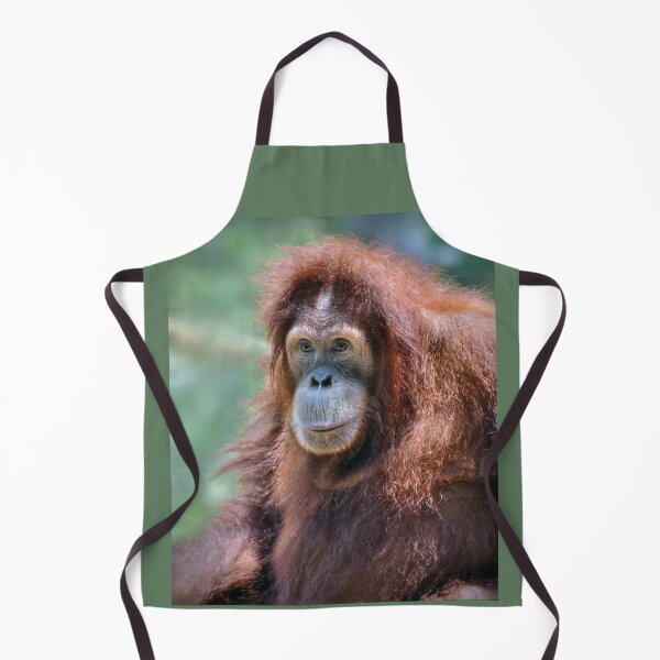 Item preview, Orangutan designed and sold by Savannah Gibbs.