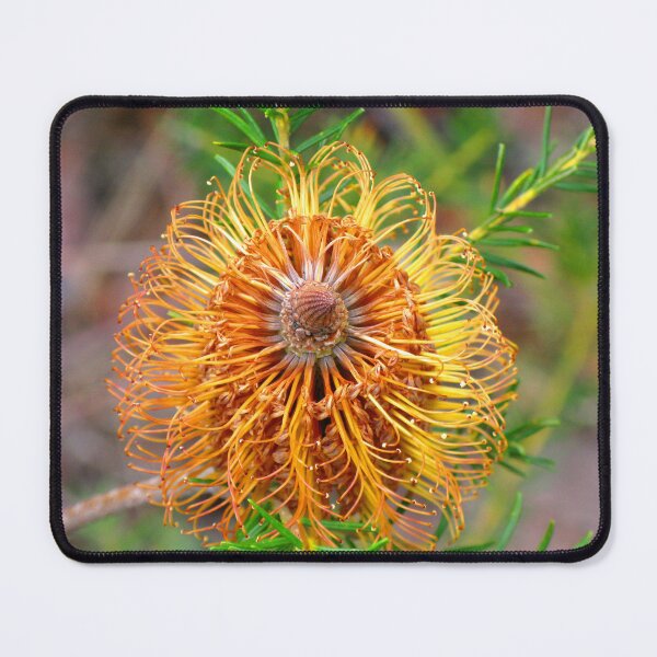 Item preview, Banksia Flower - Australian Native designed and sold by Marilyn Harris.