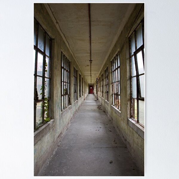 Item preview, ellis island designed and sold by rob dobi.