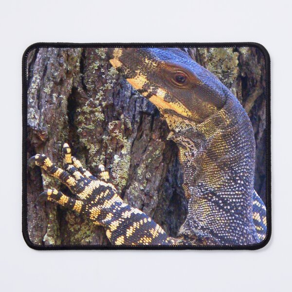 Item preview, Lace Goanna (Varanus varius) designed and sold by Marilyn Harris.
