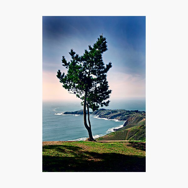 SanFrancisco-Marin Highlands Photographic Print