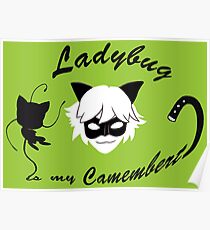 Ladybug is my Camembert Poster