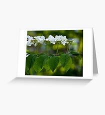 Upstanding Greeting Card