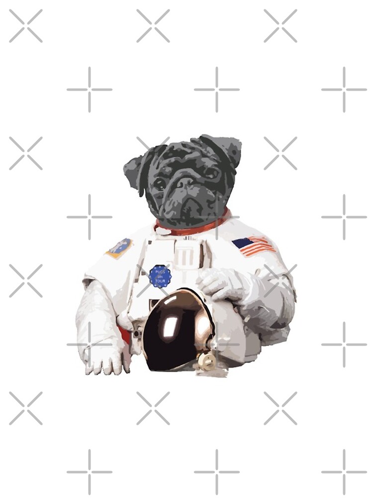 pug astronaut squishmallow