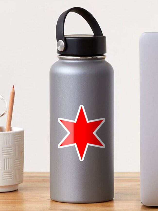 Chicago Flag Bridgeport Steel Slim Water Bottle