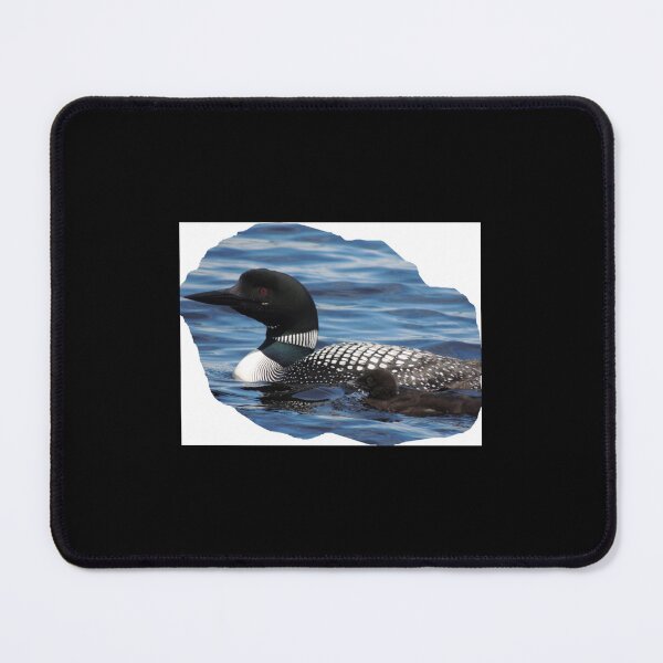 Item preview, Loon and Baby by ArborLakeArtistry Long  designed and sold by BeastMaximus.
