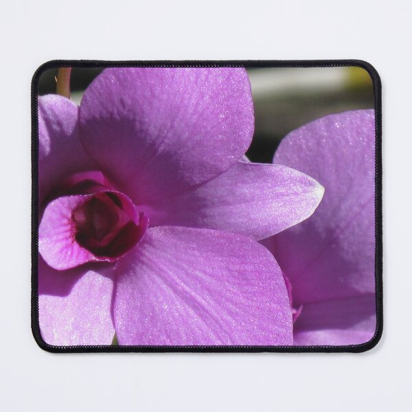 Item preview, Cooktown Orchid (Dendrobium bigibbum) designed and sold by Marilyn Harris.