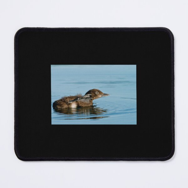 Item preview, Loon Chick 8 designed and sold by BeastMaximus.