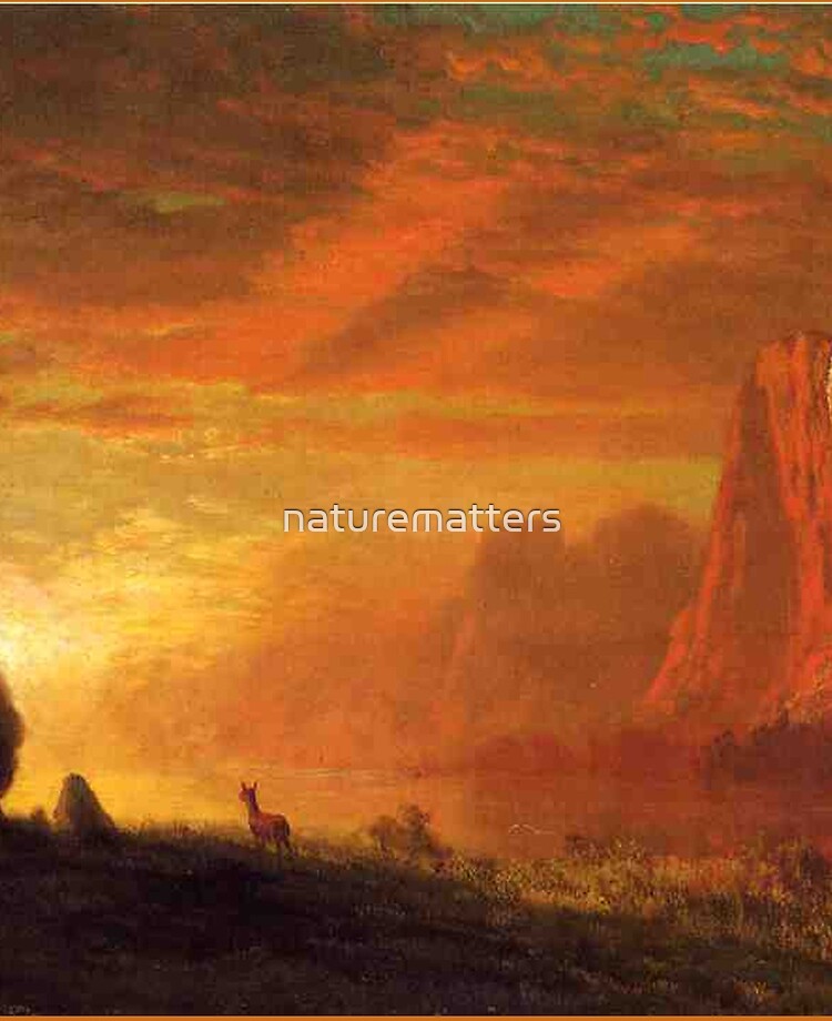 Deer at Sunset - Albert Bierstadt 