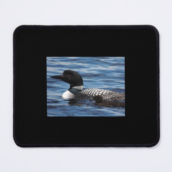 Item preview, Loon with Baby by ArborLakeArtistry   designed and sold by BeastMaximus.