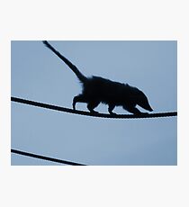 Silouette Photographic Print