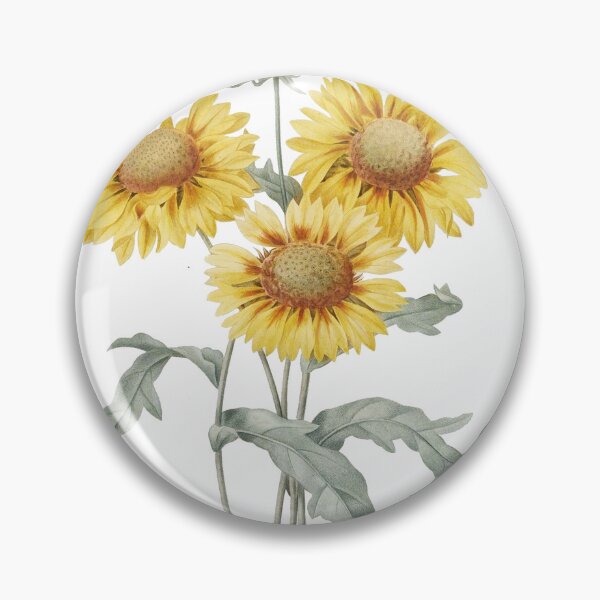 Item preview, Vintage three sunflowers botanical illustration by P.J. Redoute designed and sold by naturematters.