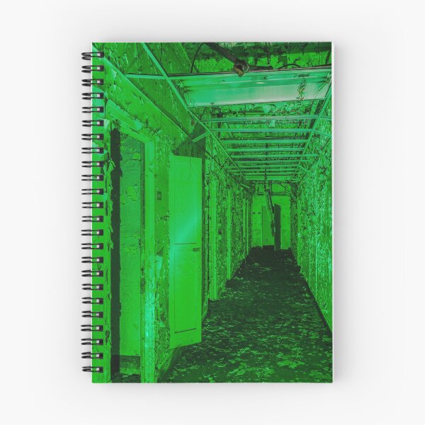 Aperçu de l'œuvre La salle verte créée et vendue par Peter Gnas.