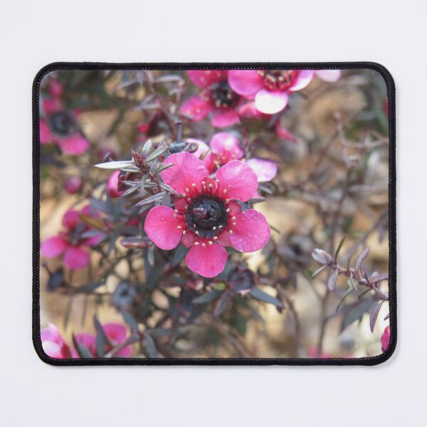 Item preview, Bright pink leptospermum designed and sold by greentiger1.