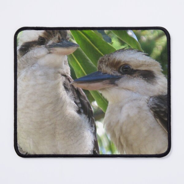 Item preview, Laughing Kookaburras designed and sold by Marilyn Harris.